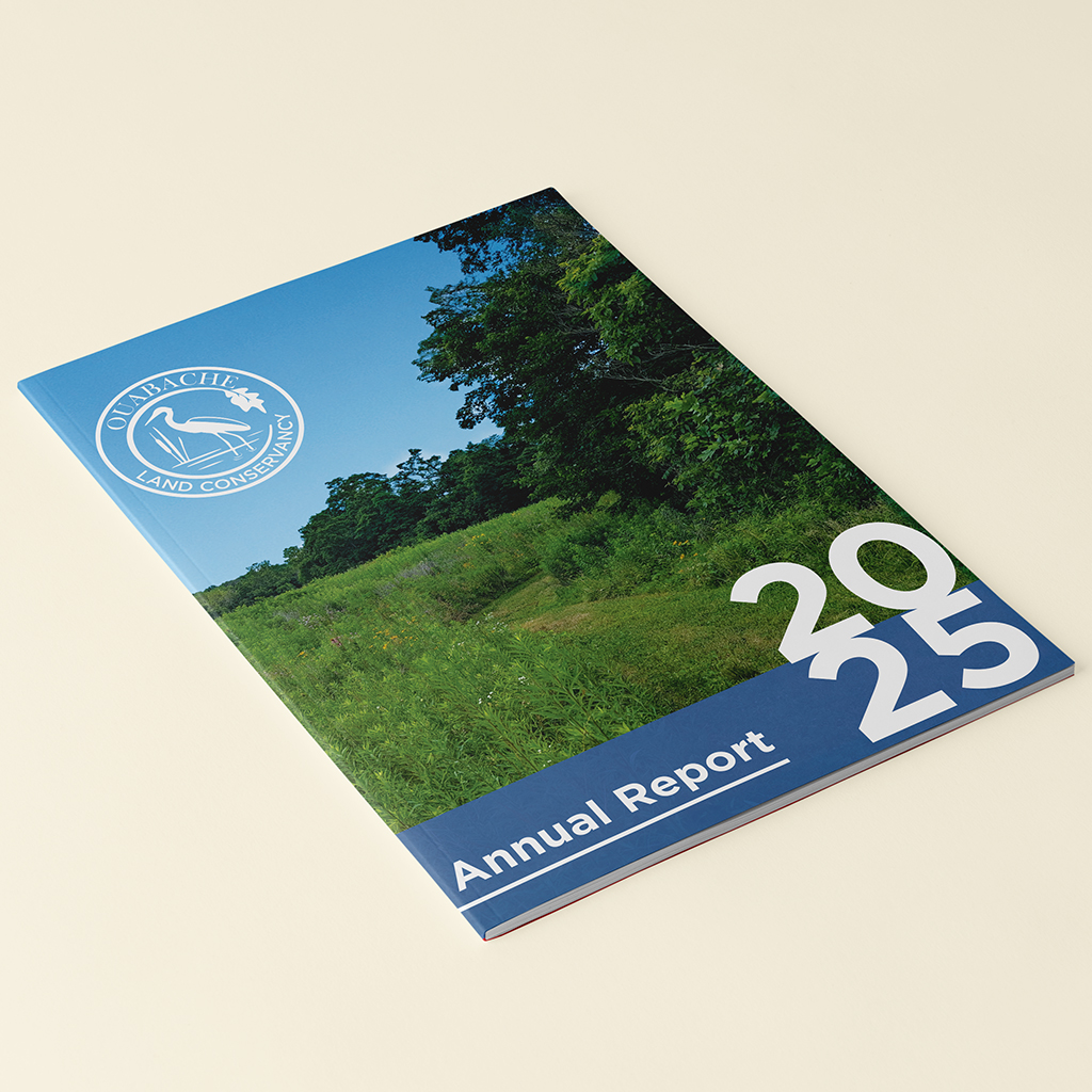 OLC Annual Report Cover